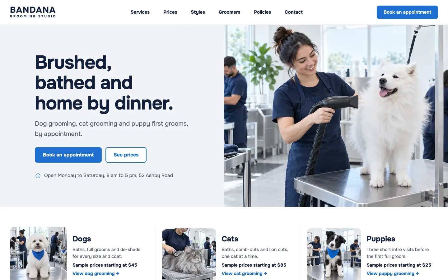 Bandana website template homepage