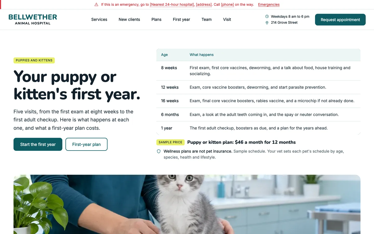 Bellwether: Home / the first year