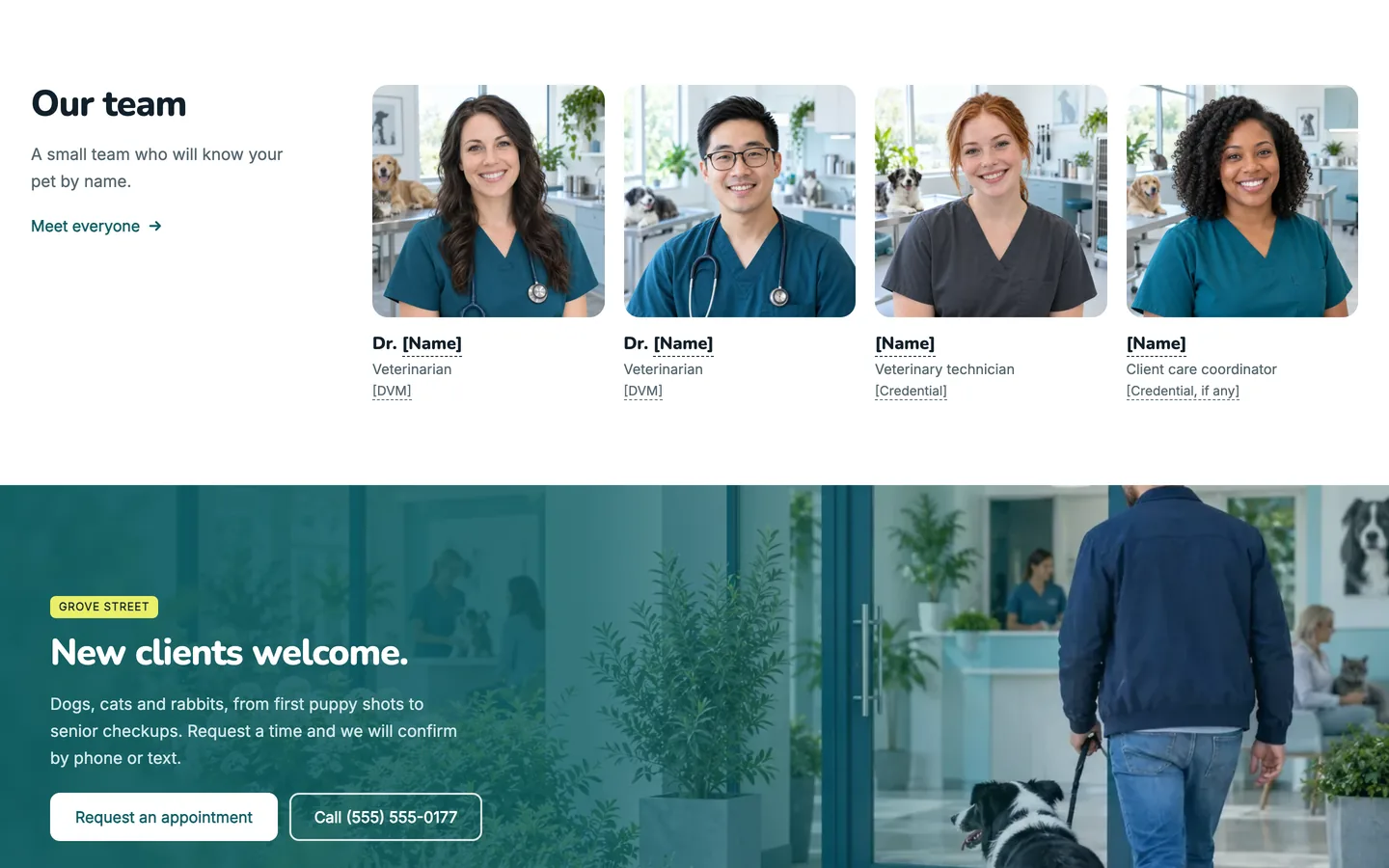 Bellwether: Our team