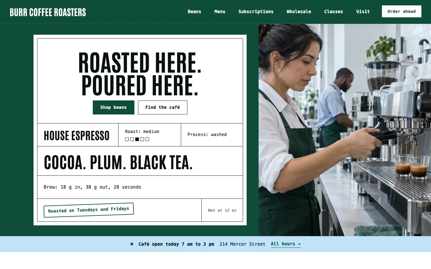 Burr website template homepage