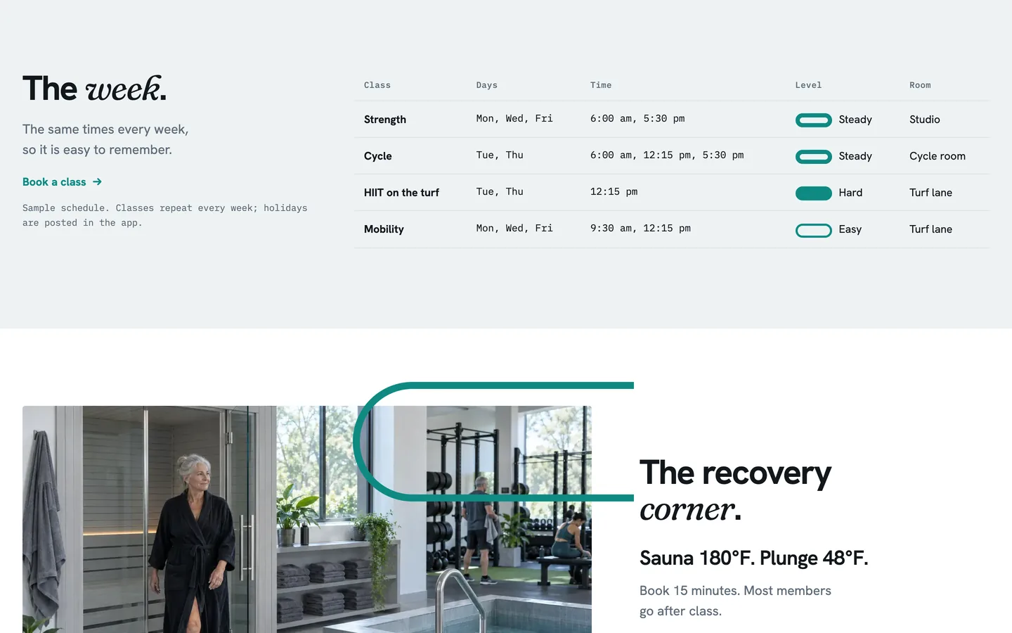 Loop: The week