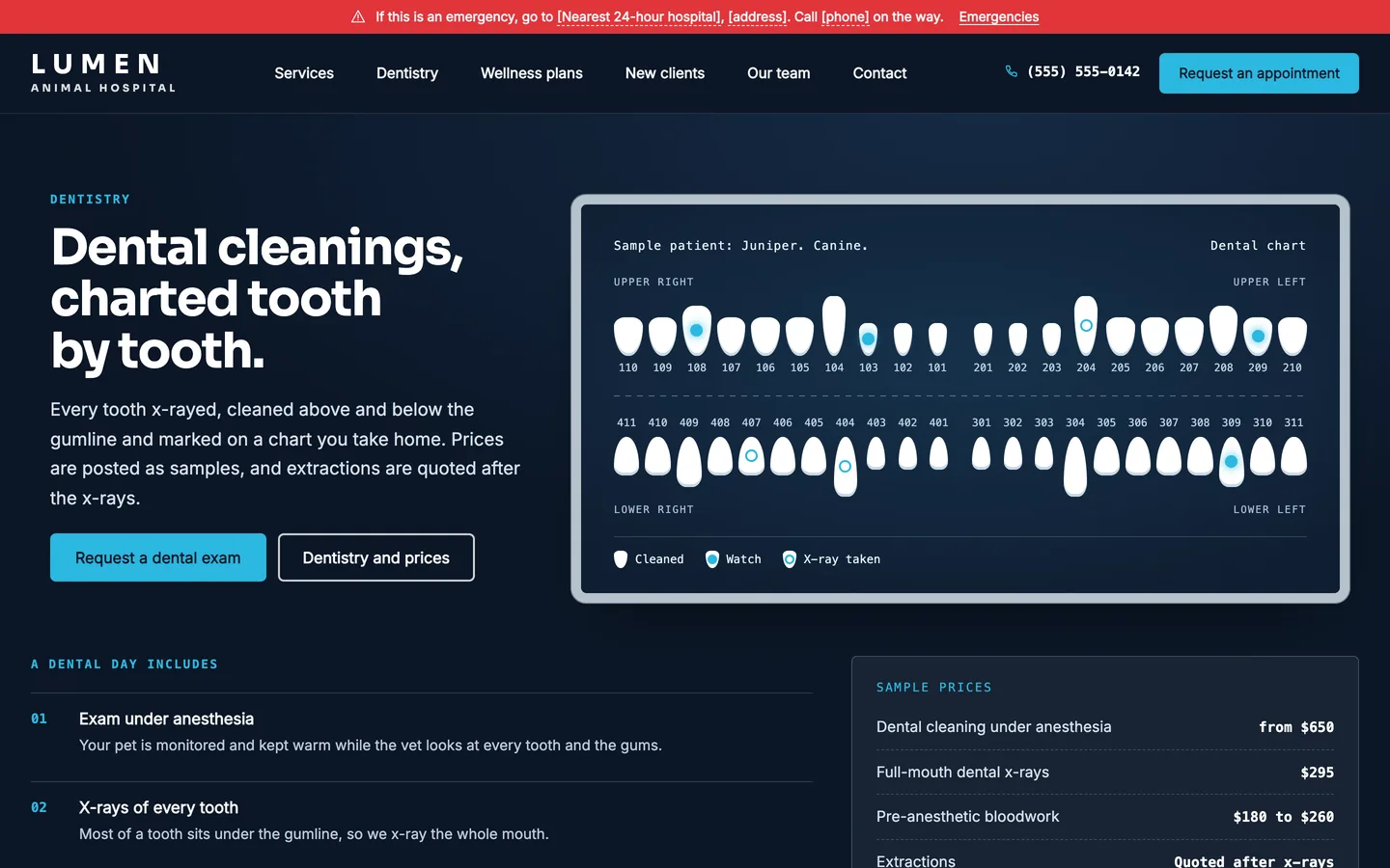 Lumen: Home / dentistry, tooth by tooth