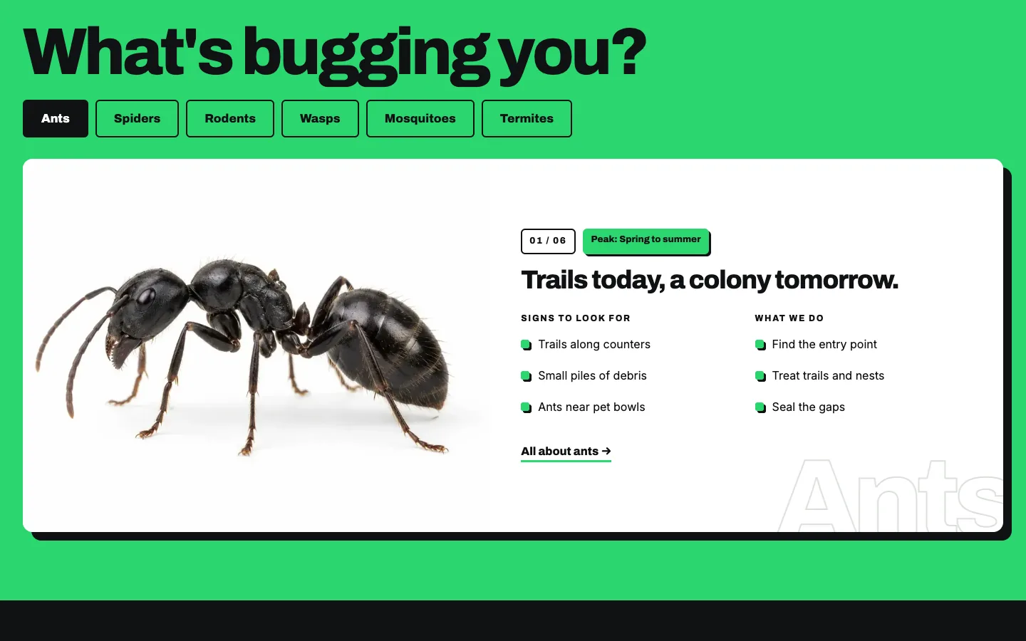 Perimeter: What's bugging you? / pest switcher