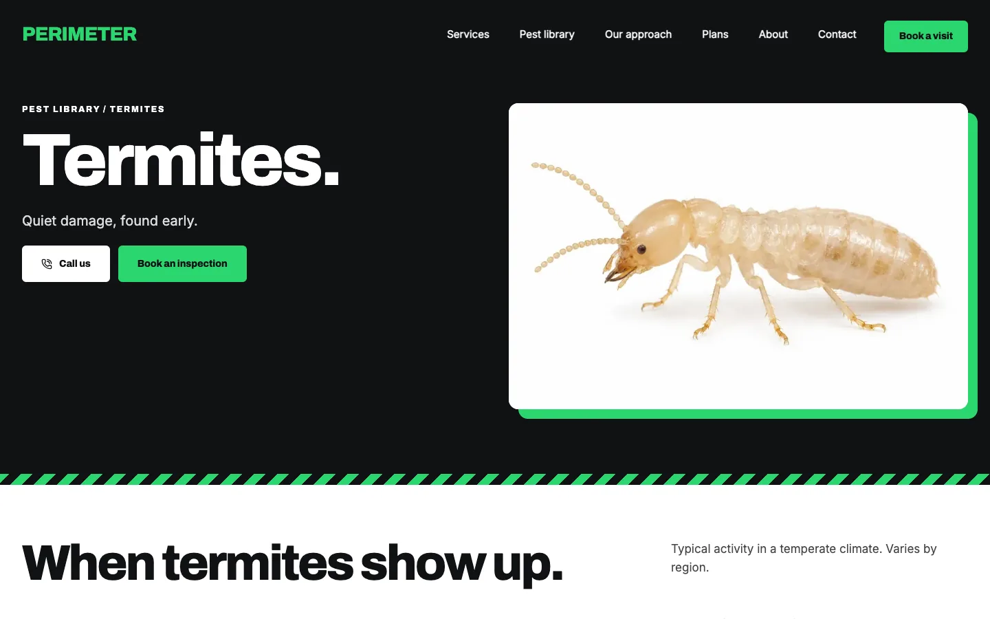 Perimeter: Termites / pest library page