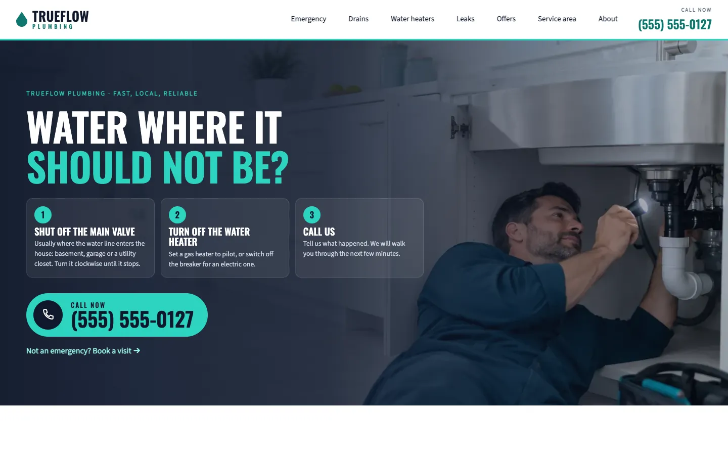 Trueflow website template homepage